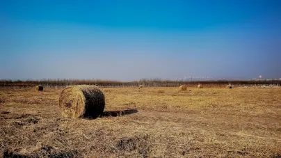 Casholot Casino Farsímaforrit